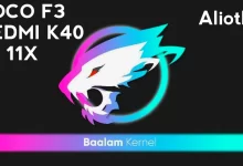 Baalam Kernel Poco F3, Alioth