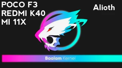 Baalam Kernel Poco F3, Alioth